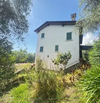Foto annuncio 3
