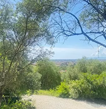 Foto annuncio 23