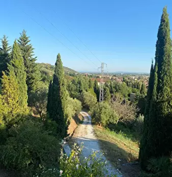 Foto annuncio 28