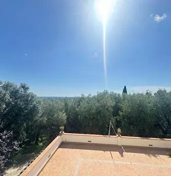 Foto annuncio 12