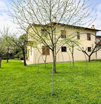 Foto annuncio 1