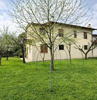 Foto annuncio 5