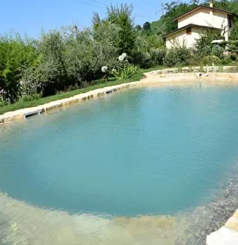 Foto annuncio 5