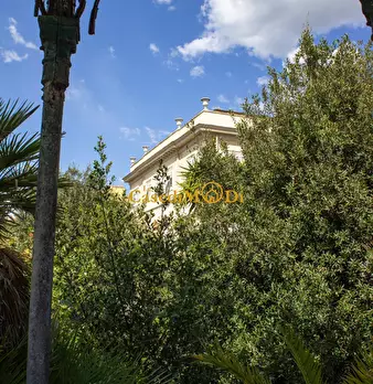 Foto annuncio 66