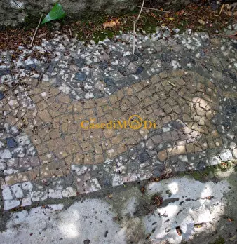 Foto annuncio 69