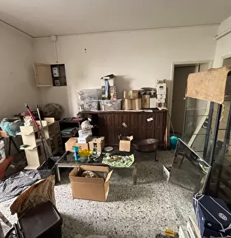 Foto annuncio 8