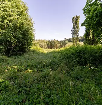 Foto annuncio 33