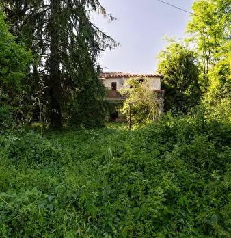 Foto annuncio 34