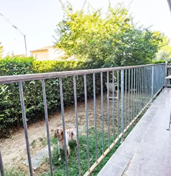 Foto annuncio 6