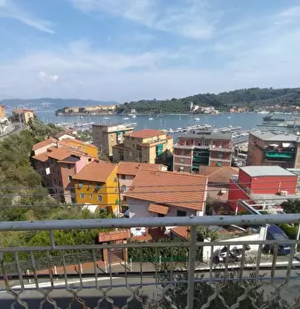 Foto annuncio 12