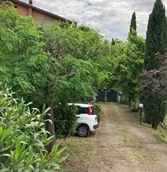 Foto annuncio 10
