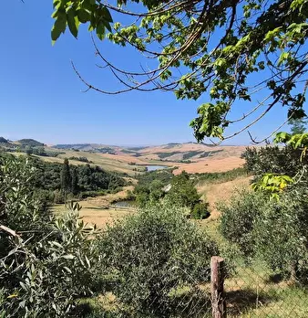 Foto annuncio 9