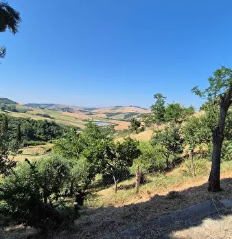 Foto annuncio 11