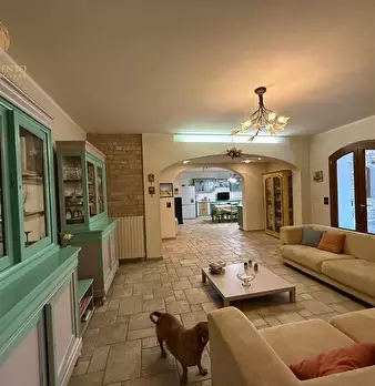 Foto annuncio 32