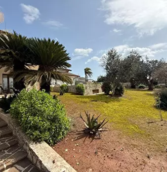 Foto annuncio 7