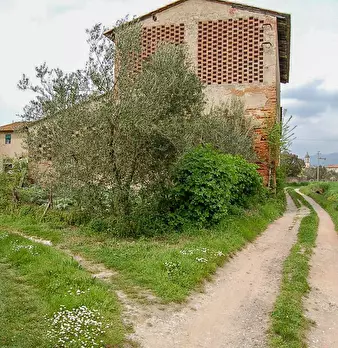 Foto annuncio 13