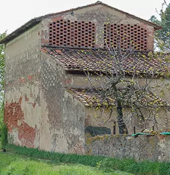 Foto annuncio 11