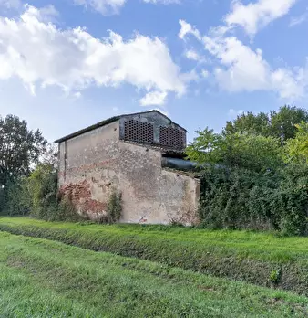 Foto annuncio 9