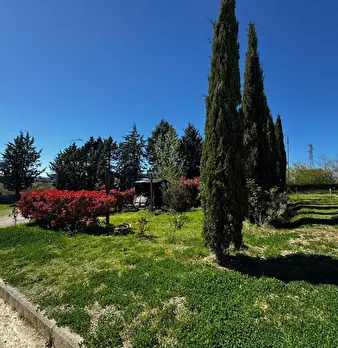 Foto annuncio 35