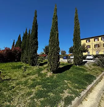 Foto annuncio 36