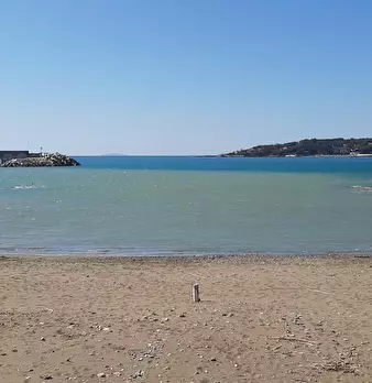 Foto annuncio 45