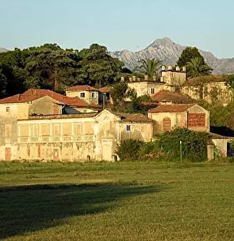 Foto annuncio 1