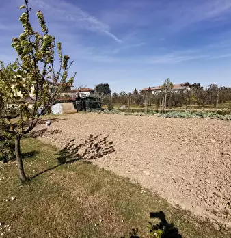 Foto annuncio 61
