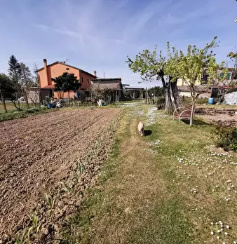 Foto annuncio 60