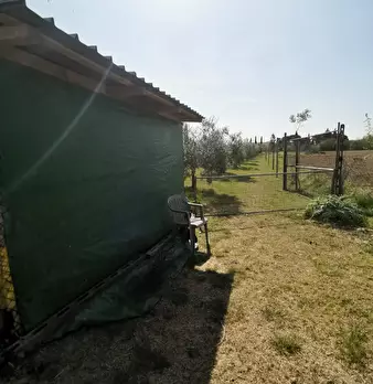 Foto annuncio 63