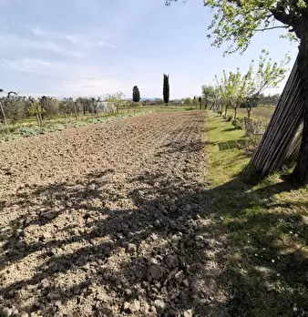 Foto annuncio 58
