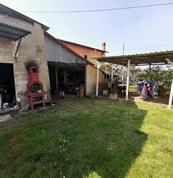 Foto annuncio 12