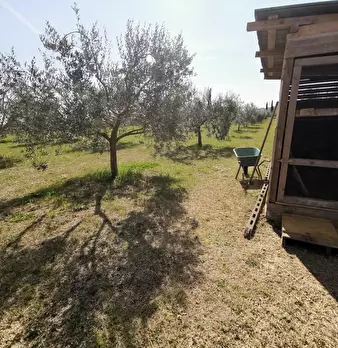 Foto annuncio 65
