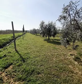 Foto annuncio 68