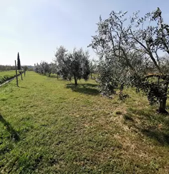 Foto annuncio 69