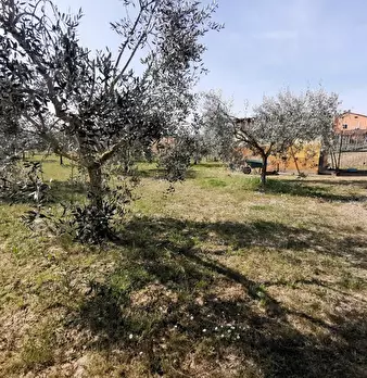 Foto annuncio 66