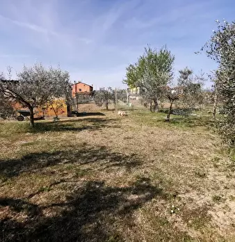 Foto annuncio 67