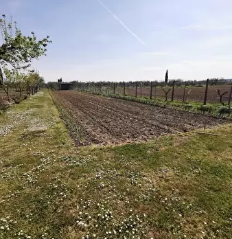 Foto annuncio 57
