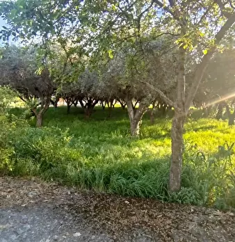 Foto annuncio 39