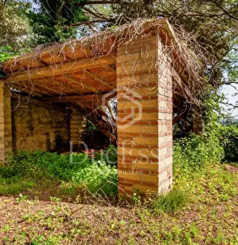 Foto annuncio 39