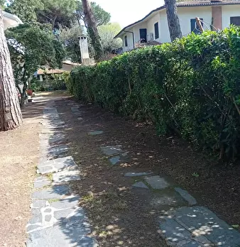 Foto annuncio 25