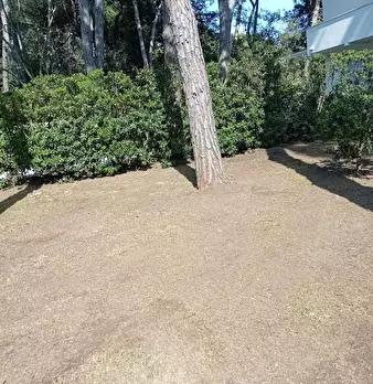 Foto annuncio 24