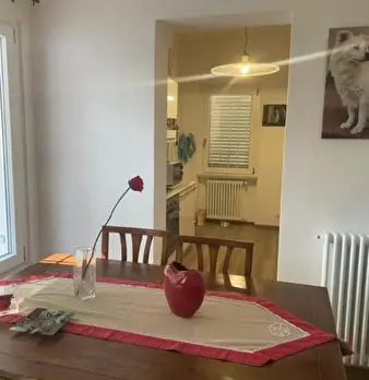 Foto annuncio 10