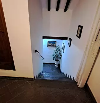 Foto annuncio 14