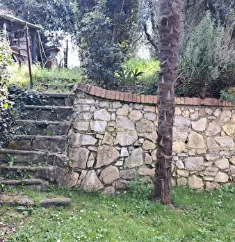 Foto annuncio 28