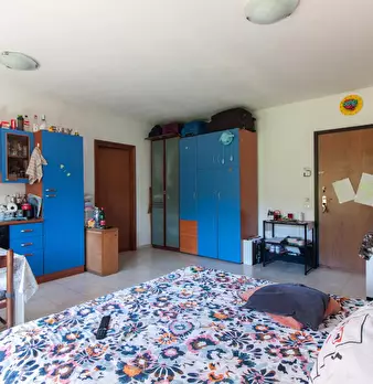 Foto annuncio 6