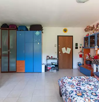 Foto annuncio 7