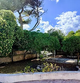 Foto annuncio 65