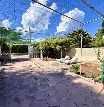 Foto annuncio 61
