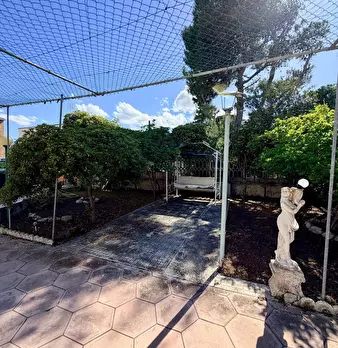 Foto annuncio 43
