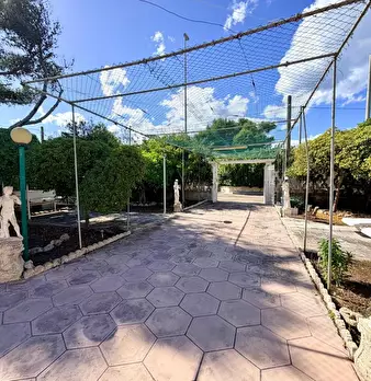 Foto annuncio 58